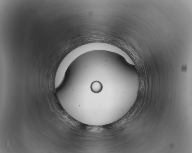 X0000097590621200803211638