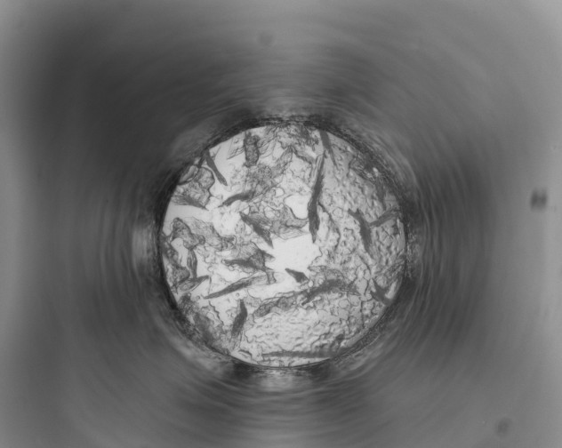 X0000097590623200803211638