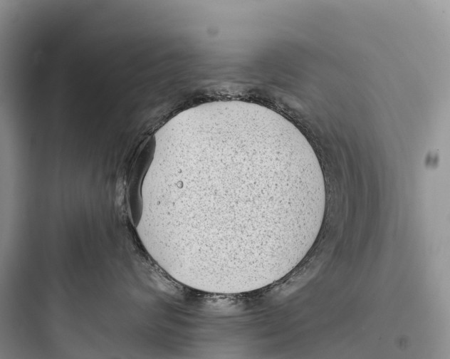 X0000097590624200803211638