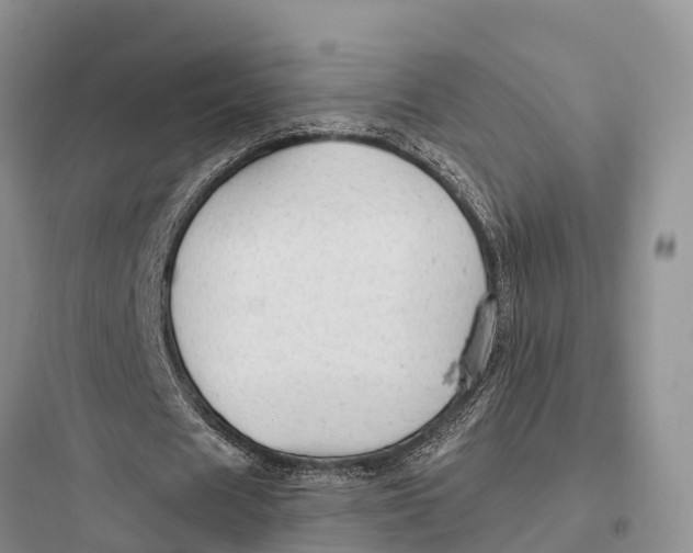 X0000097590625200803211637