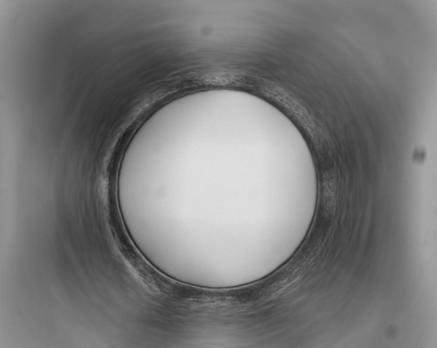 X0000097590626200803211637