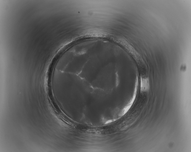 X0000097590627200803211637