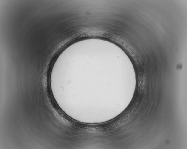 X0000097590629200803211637