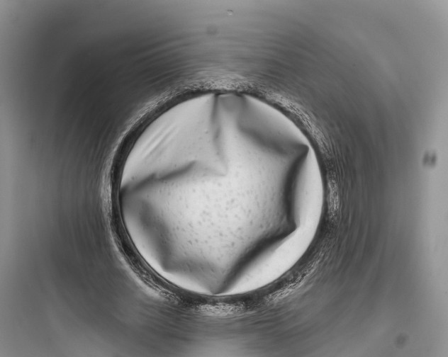 X0000097590630200803211637