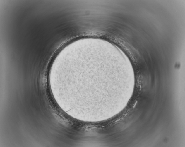 X0000097590632200803211637