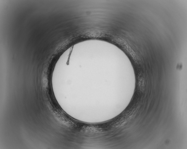 X0000097590635200803211637