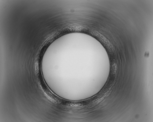 X0000097590638200803211637