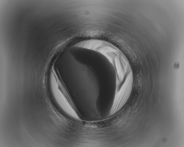 X0000097590640200803211637