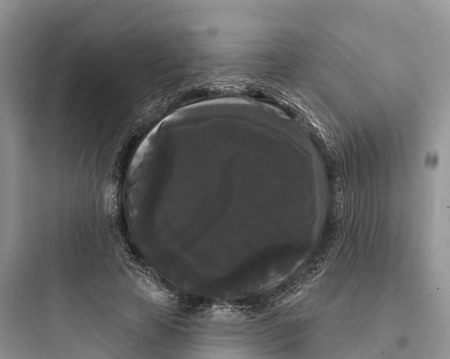 X0000097590641200803211637