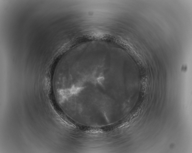 X0000097590642200803211637