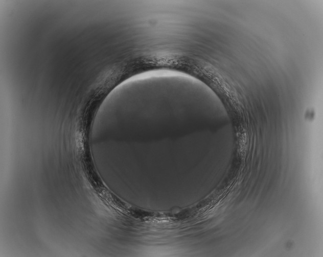 X0000097590643200803211637