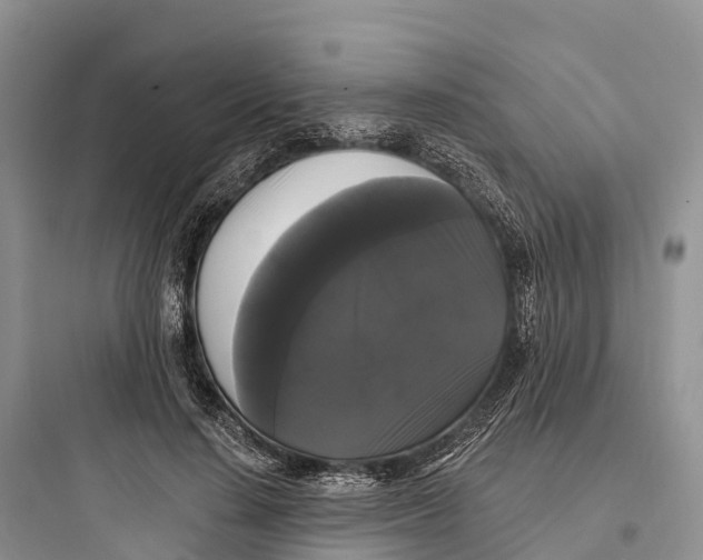 X0000097590644200803211637