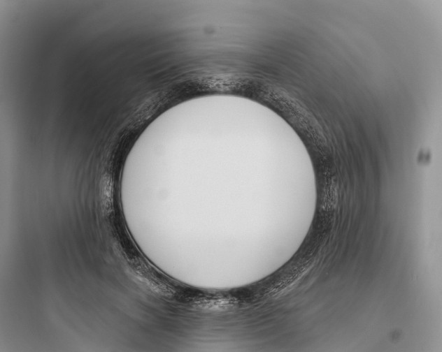 X0000097590646200803211637