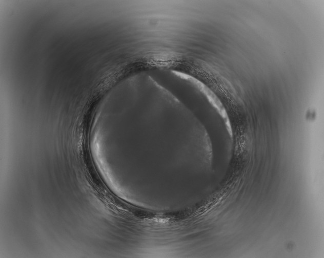 X0000097590647200803211637