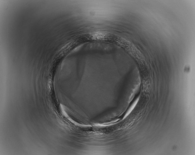 X0000097590648200803211637