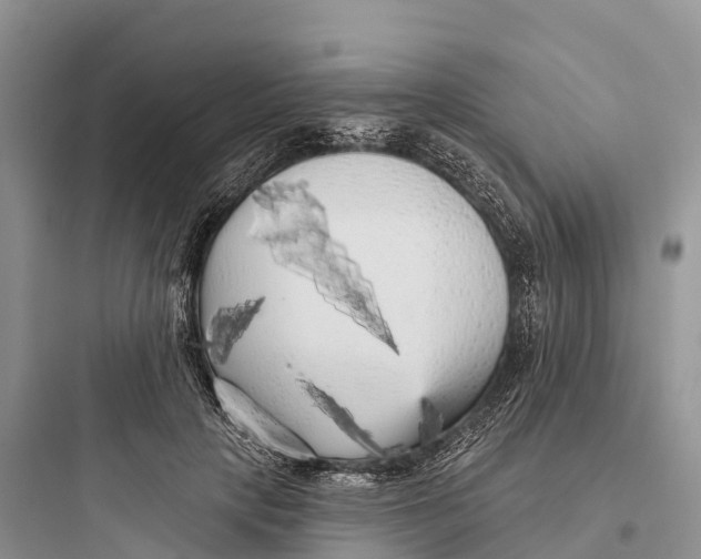 X0000097590649200803211637