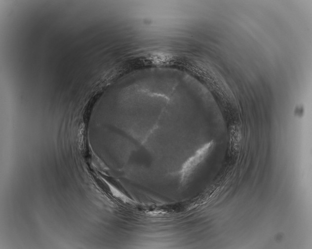 X0000097590650200803211638