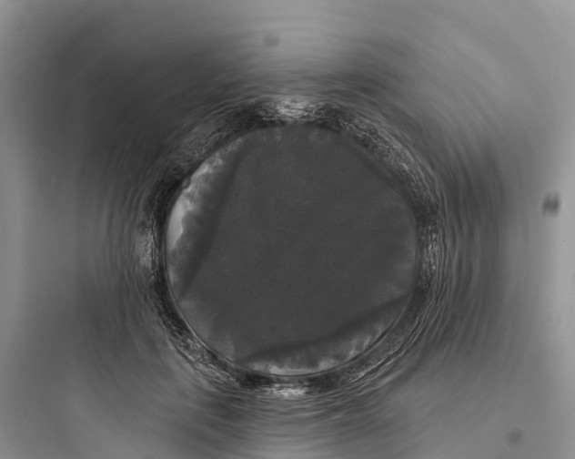 X0000097590651200803211638