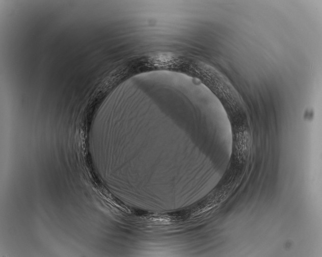 X0000097590653200803211638