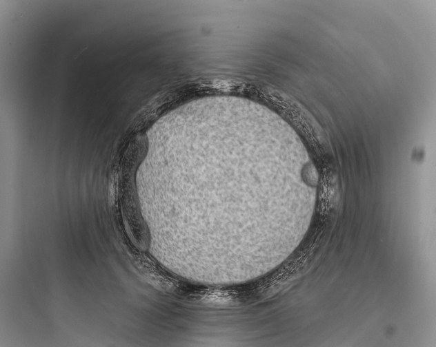 X0000097590656200803211638