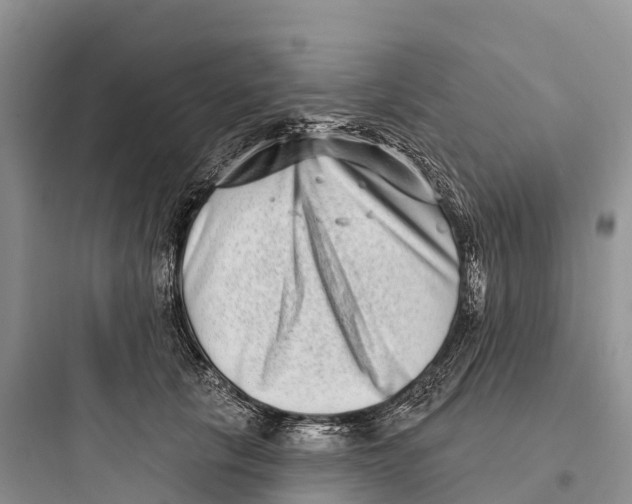 X0000097590657200803211638