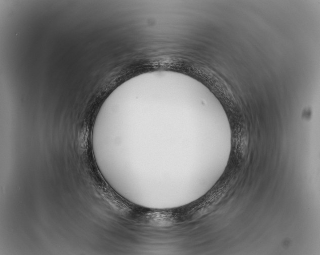 X0000097590660200803211638