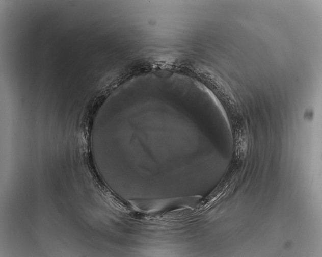 X0000097590661200803211638