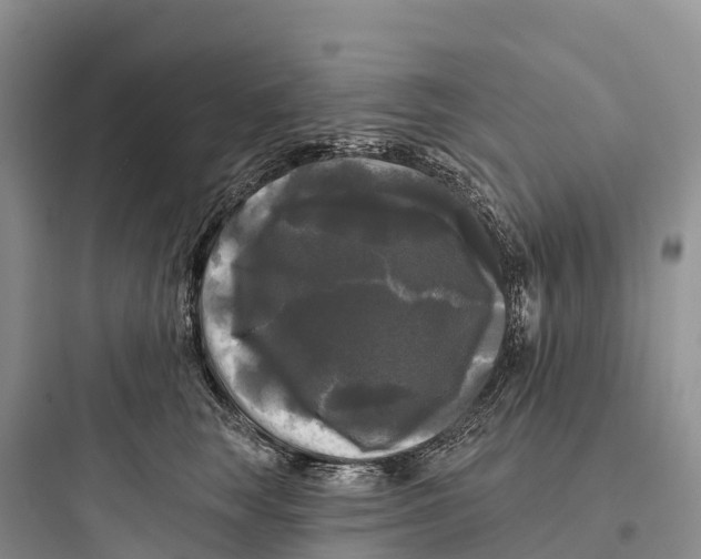 X0000097590663200803211638