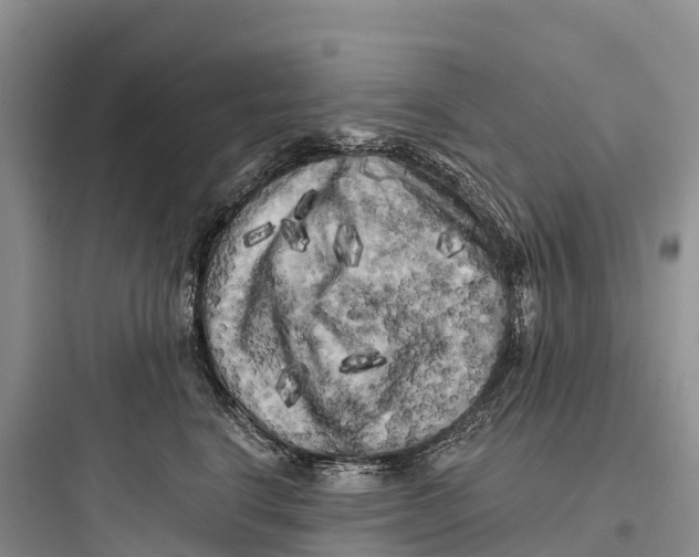 X0000097590664200803211638