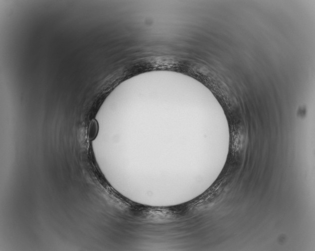 X0000097590666200803211638