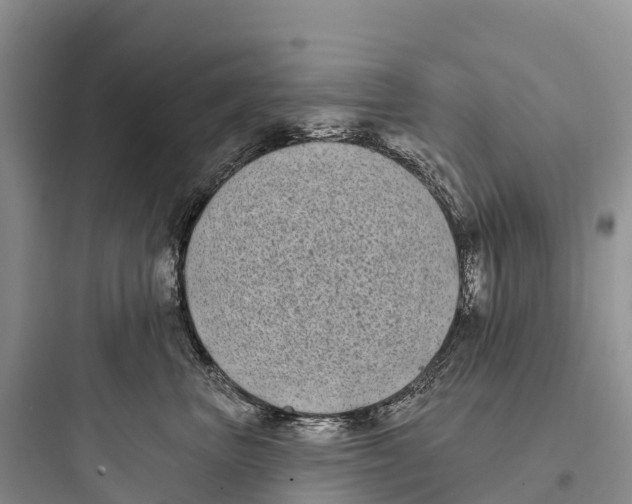 X0000097590667200803211638