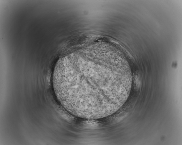 X0000097590668200803211638