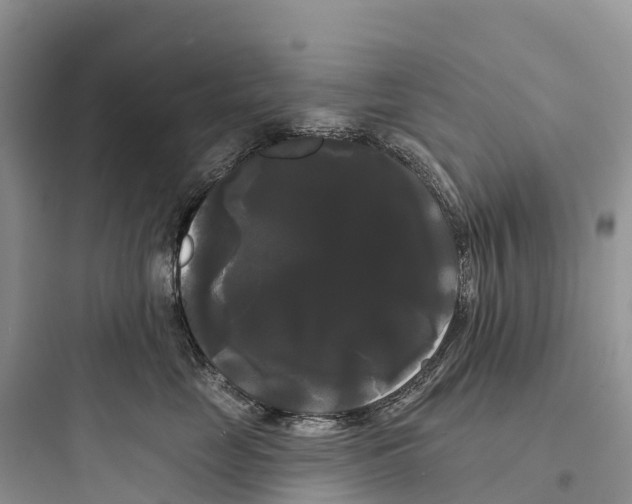 X0000097590669200803211638