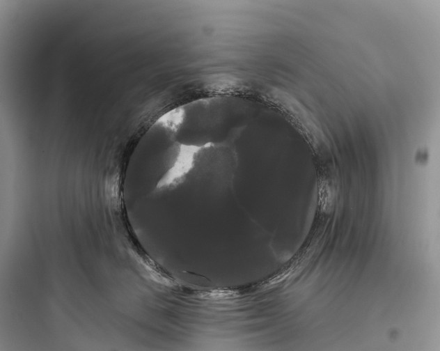 X0000097590670200803211638