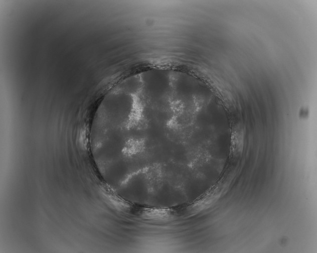 X0000097590671200803211638