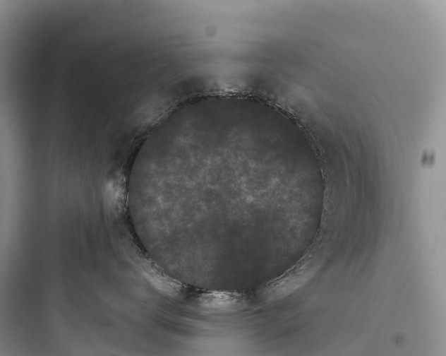 X0000097590672200803211638