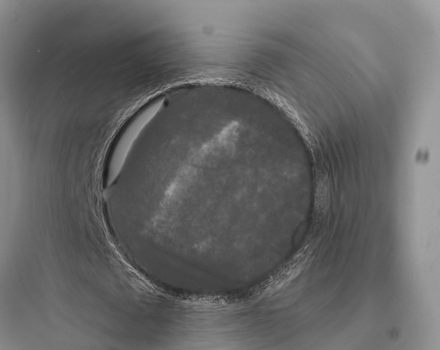 X0000097590673200803211637