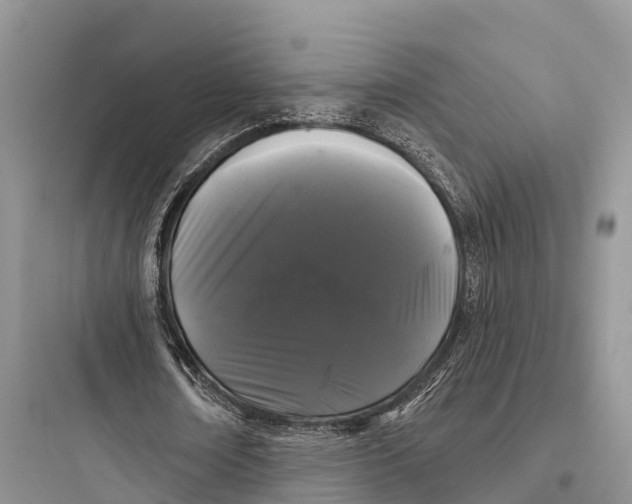 X0000097590674200803211637