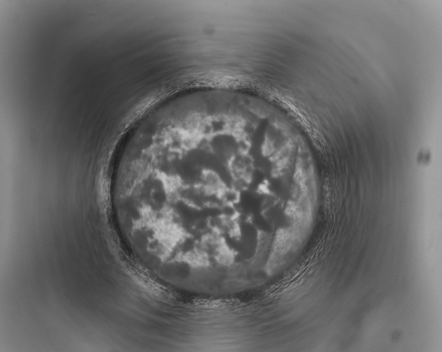 X0000097590679200803211637