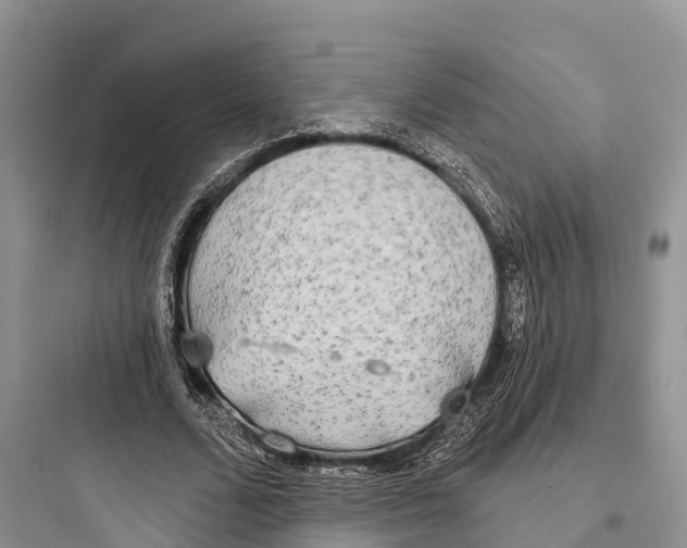 X0000097590680200803211637