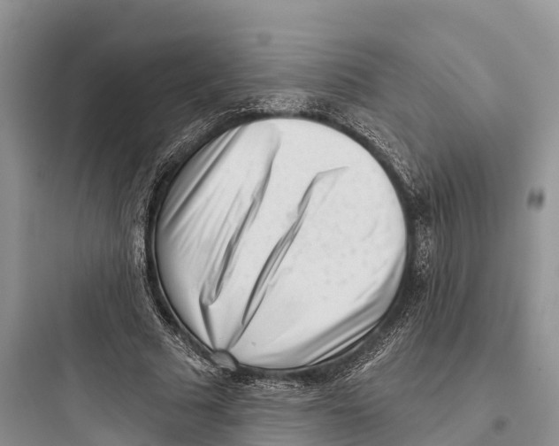 X0000097590681200803211637