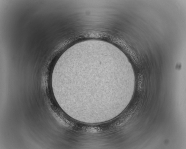 X0000097590683200803211637