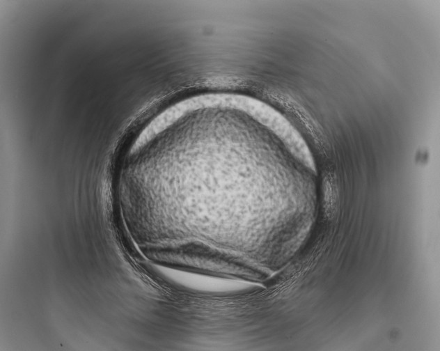 X0000097590684200803211637