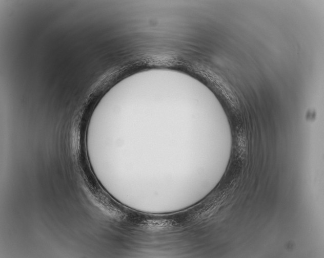 X0000097590686200803211637