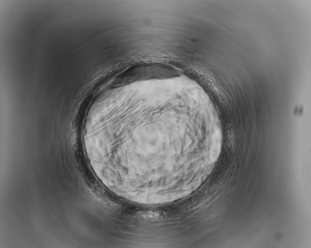 X0000097590687200803211637