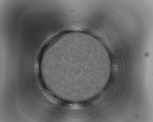 X0000097590688200803211637