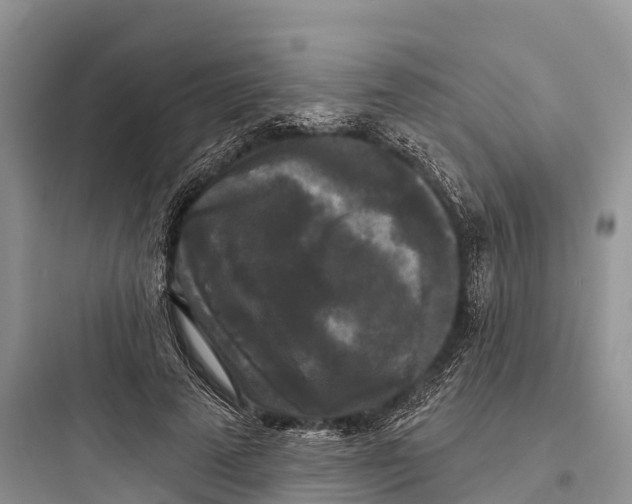 X0000097590689200803211637