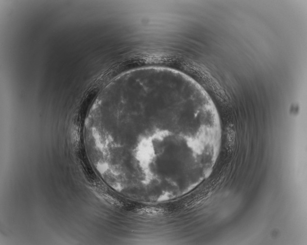 X0000097590691200803211637