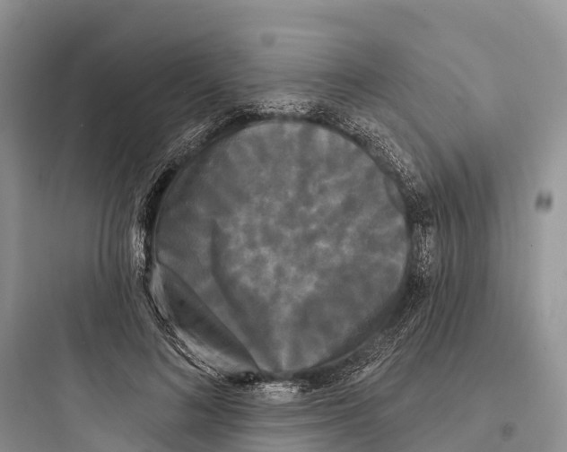 X0000097590692200803211637