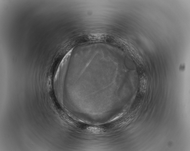 X0000097590699200803211637